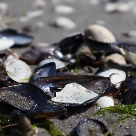 Appartement Im Haus Strandburg Grömitz