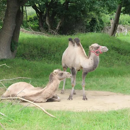 Im Haus Strandburg Grömitz