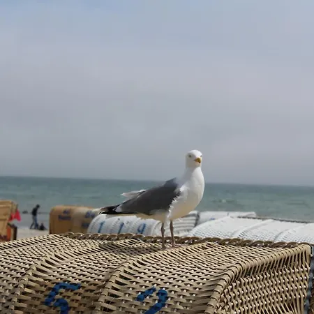 Im Haus Strandburg
