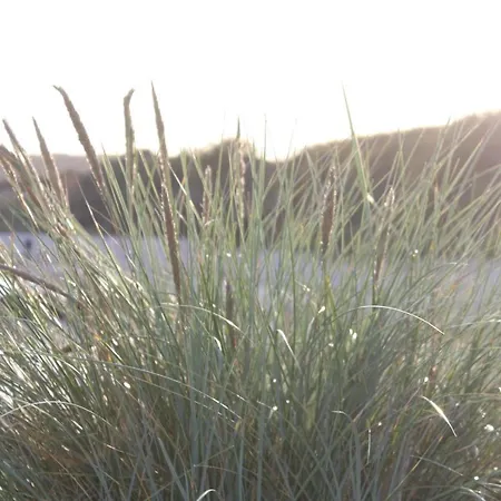 Appartement Im Haus Strandburg Grömitz