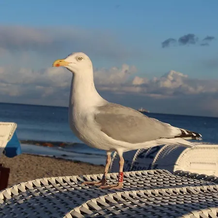 Im Haus Strandburg *