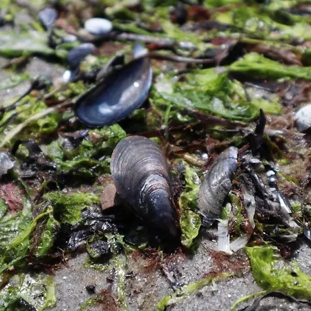 Im Haus Strandburg *